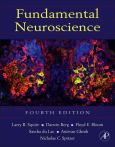 Image of (eBook) Fundamental Neuroscience