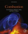 Image of (eBook) Combustion