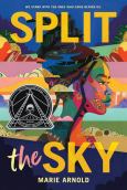 Split the Sky (Coretta Scott King Author Honor Title) - cover photo