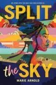 (eBook) Split the Sky (Coretta Scott King Author Honor Title) - cover photo