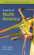 Image of Insects Of North America