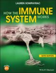 Image of (eBook) How the Immune System Works, 6th Edition