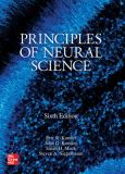 Image of (eBook) Principles of Neural Science, Sixth Edition