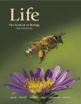 Image of Life: The Science Of Biology