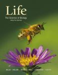 Image of (eBook) Life: The Science of Biology