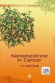 Image of (eBook) Nanomedicine in Cancer