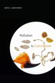 Image of (eBook) Pollution Is Colonialism