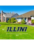 Illini Lawn Display -- DROP SHIP