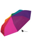 Umbrella Rainbow Illinois