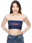 Illinois Wordmark Bandeau