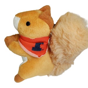 Illinois Squirrel Keychain - main view