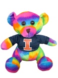 Illinois Univ Rainbow Bear