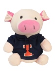 Illinois Barnyard Bunch Pig
