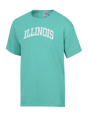 Image of ILLINOIS FASHION ARCH COMFORT WASH T-SHIRT -  mint