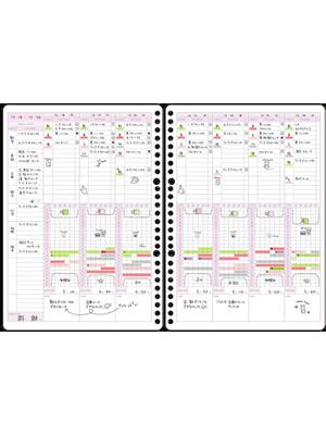 Image of CAMPUS STUDY PLANNER GIRLY LOOSE LEAF WEEKLY -  1