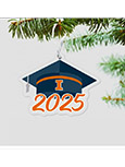 Illinois Graduation Cap Class Of 2025 Ornament