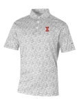 Illinois Block I Westside Country Polo
