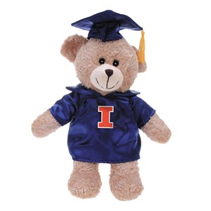 Illinois Graduation Bear - main view