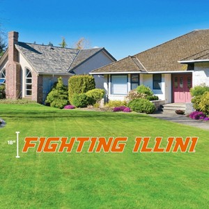(DROPSHIP) Illinois Fighting Illini Yard Display - main view
