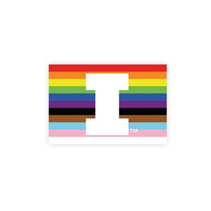 Illinois Pride Block I Patch - main view