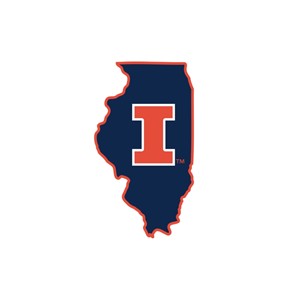 Illinois Block I State Patch - main view